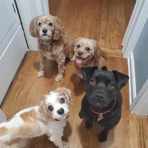 Meet your Posher, Maryanne